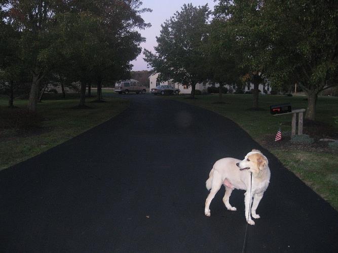 1209 Bucks Road Perkasie, PA 18944 - Photo 22 of 30