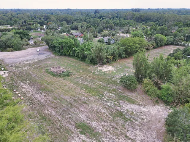 a view of a dry field with lots of trees