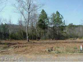 0 Elk Road Randleman, NC 27317 - Photo 1 of 1 Exterior Front.