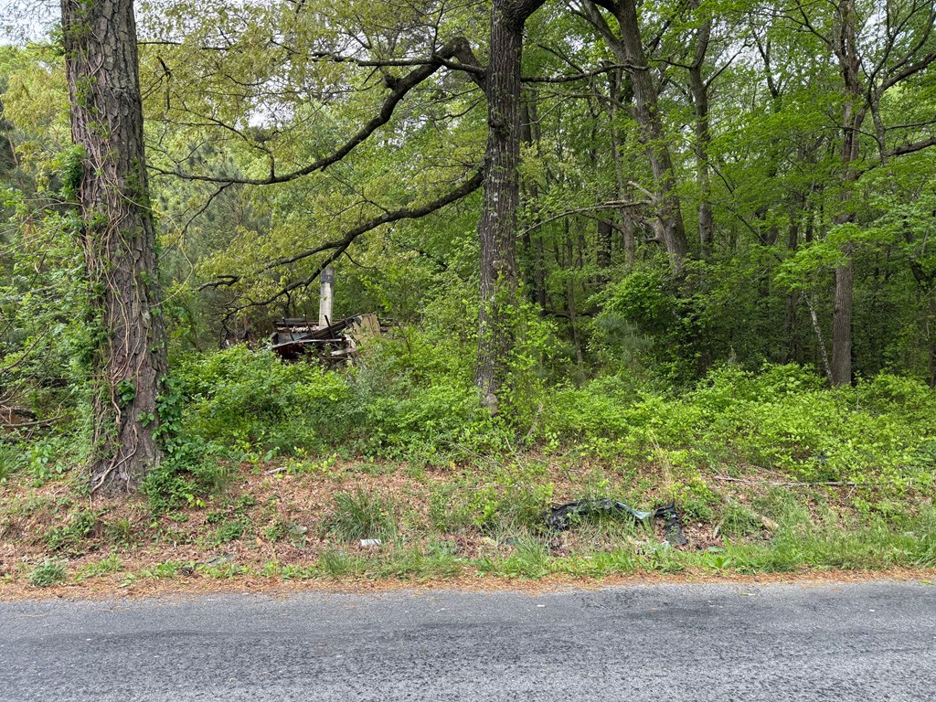 30220 Paige Fisher Road, Unit 8 Oak Hall, VA 23416 - Photo 3 of 3