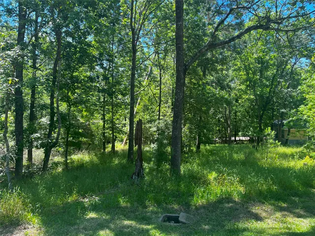 $24,900 | 15 Cherry Hills Drive, Coldspring, TX 77331