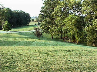 205 Cook Road Cynthiana, KY 41031 - Photo 4 of 5 Photo 4