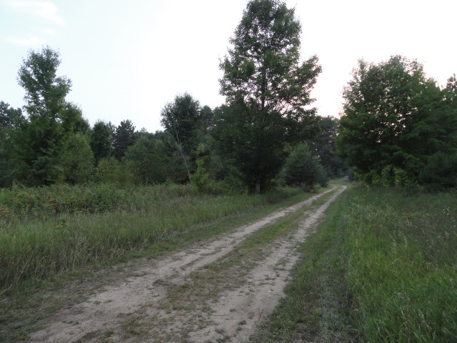 8617 Ruttan Road Northwest Alden, MI 49612 - Photo 27 of 28 1848940-26.JPG