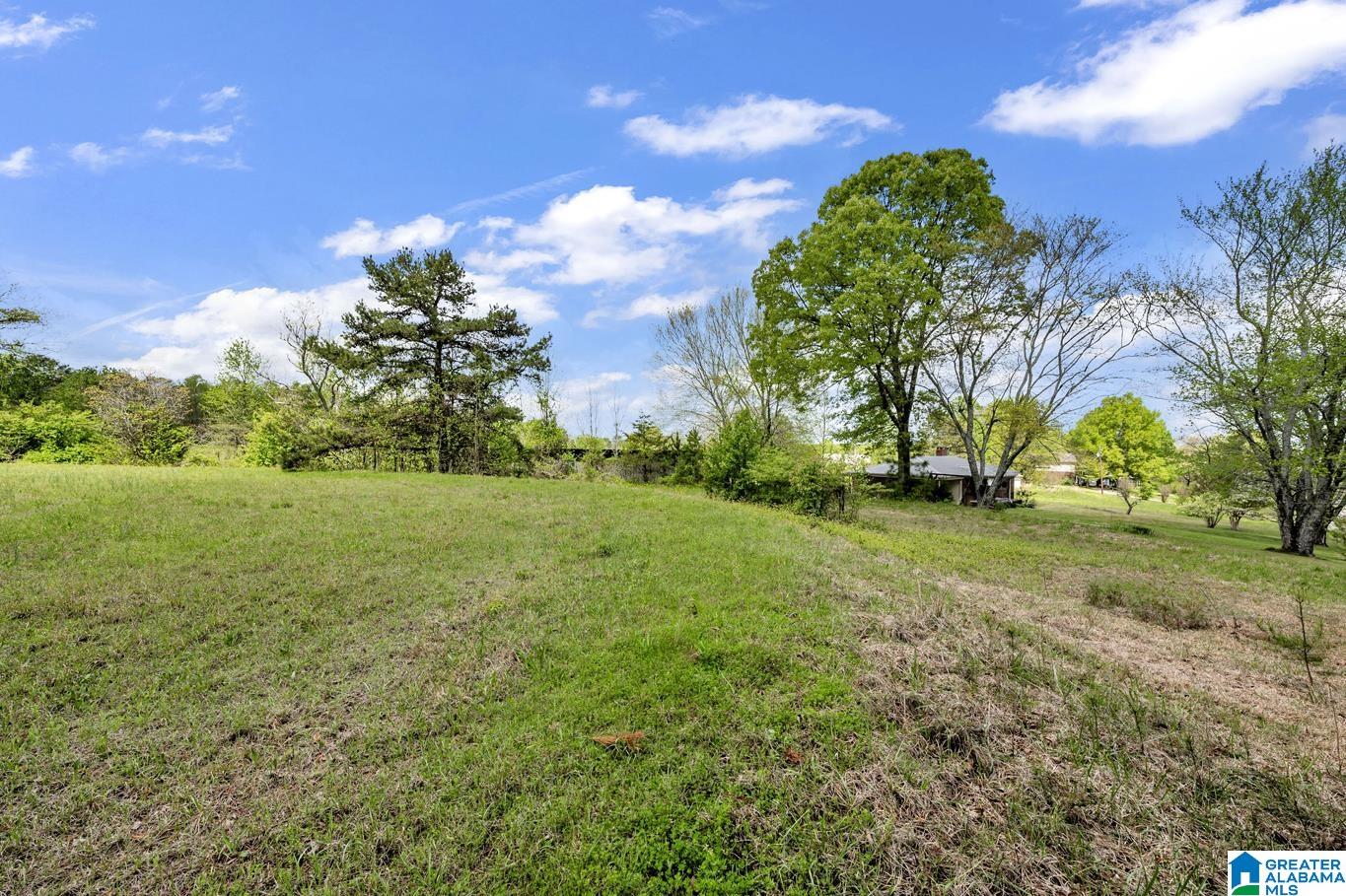 6720 Highway 27 Springville Al Springville, AL 35146 - Photo 16 of 33