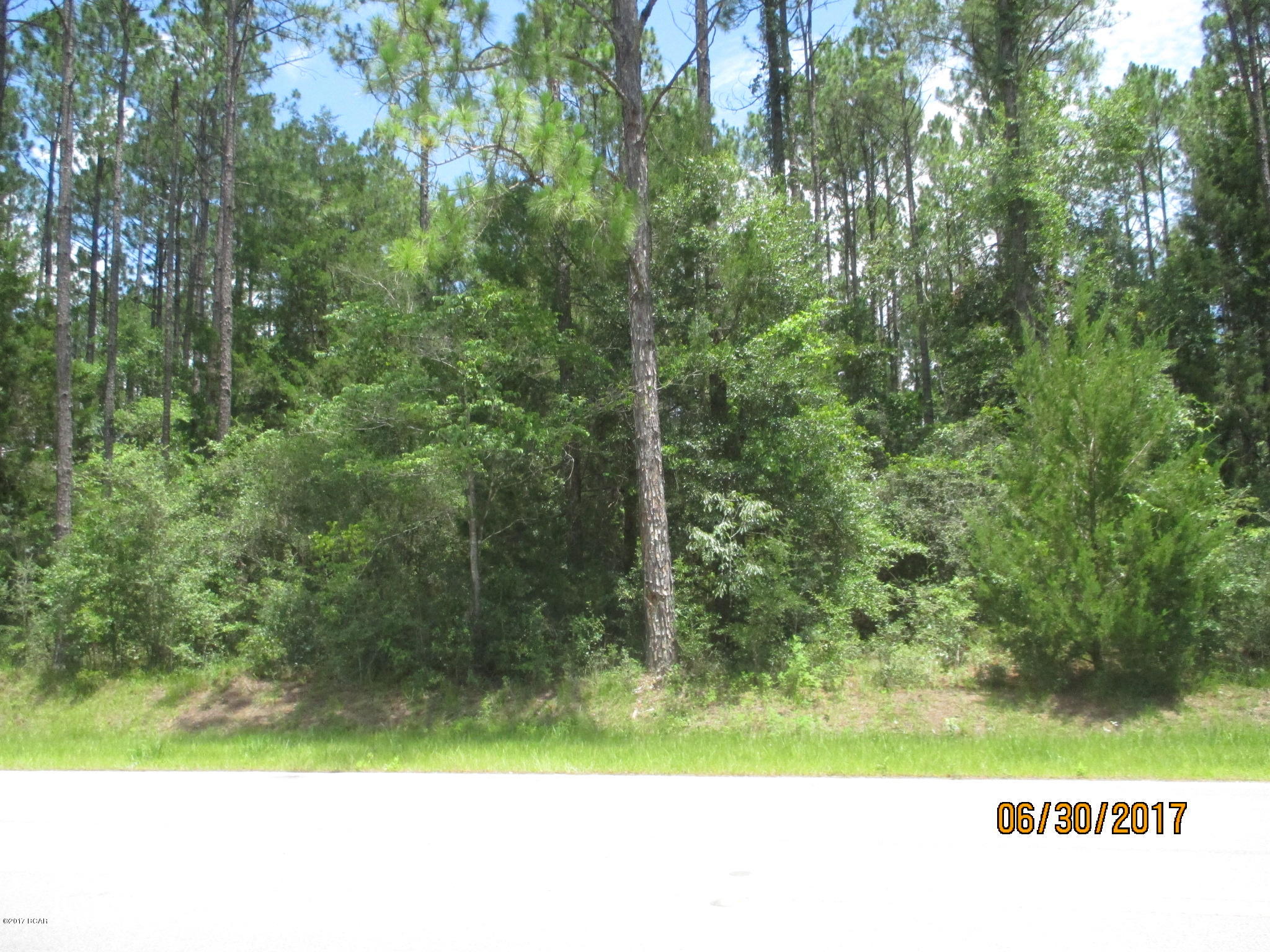 0 Northwest Laramore Road Altha, FL 32421 - Photo 2 of 8 Gallery Image 2