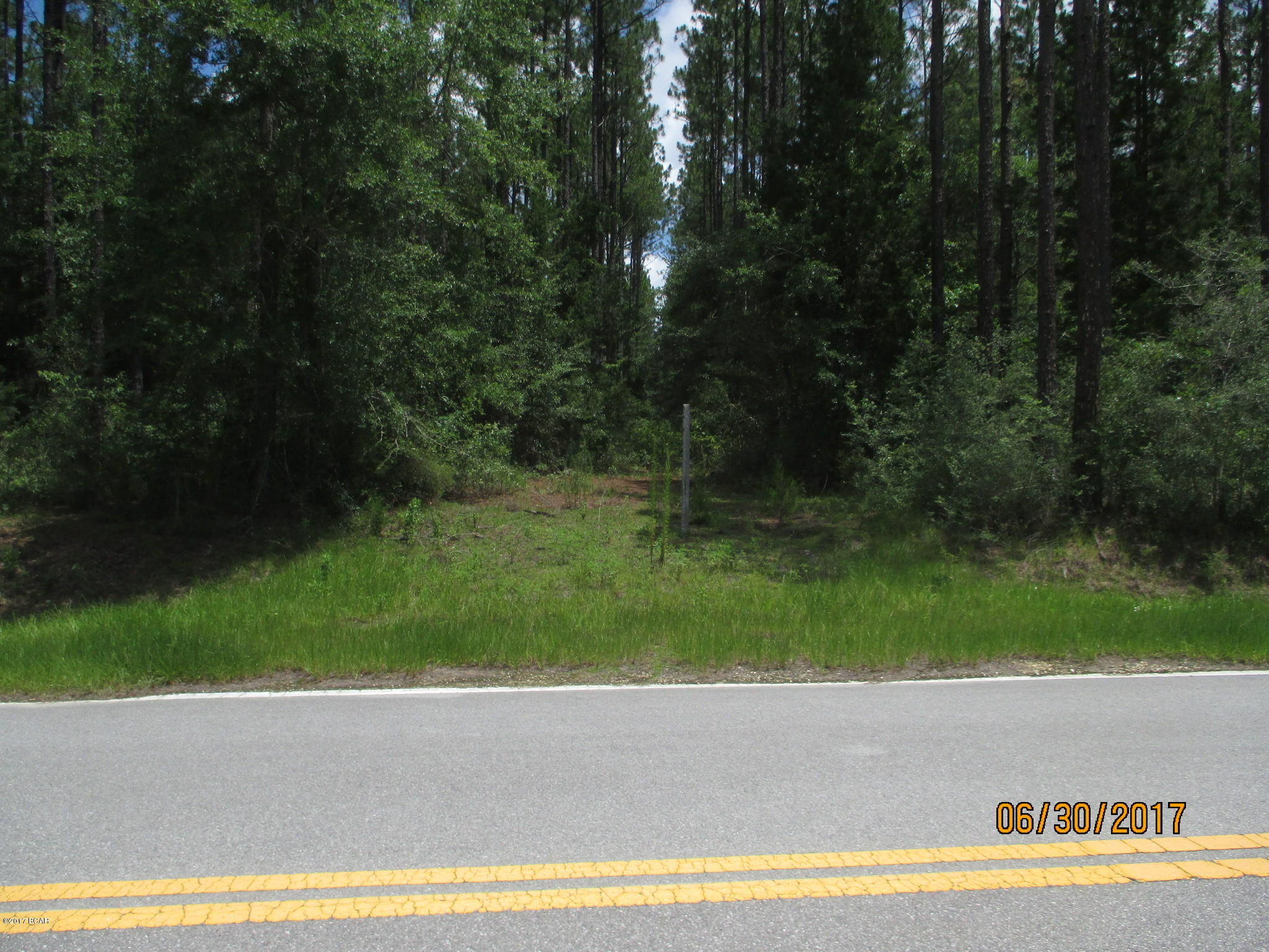 0 Northwest Laramore Road Altha, FL 32421 - Photo 3 of 8 Gallery Image 3