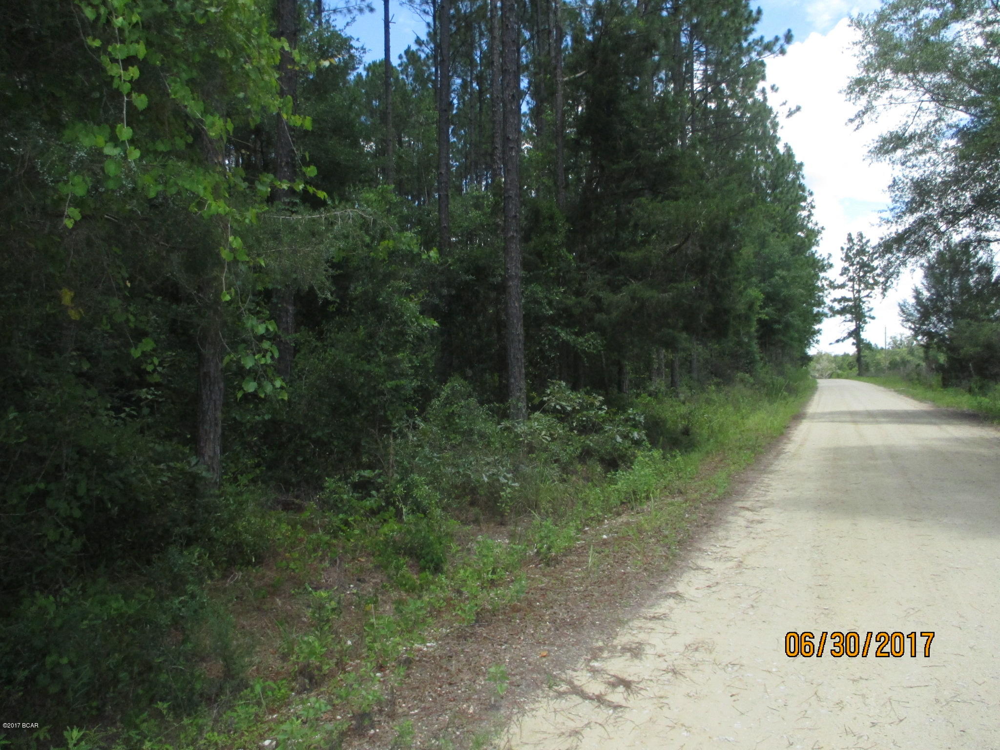 0 Northwest Laramore Road Altha, FL 32421 - Photo 6 of 8 Gallery Image 6