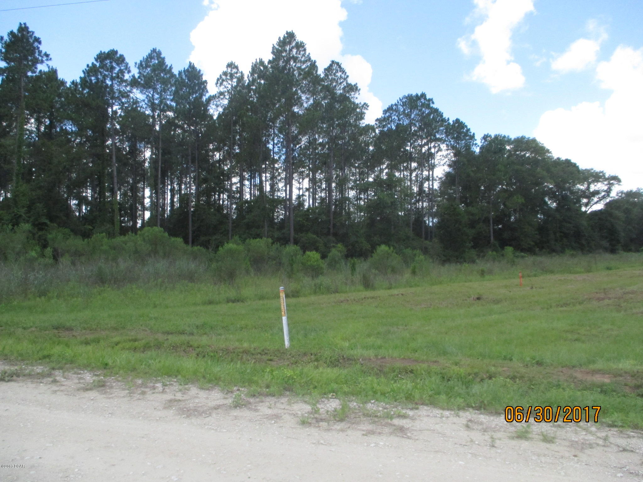0 Northwest Laramore Road Altha, FL 32421 - Photo 7 of 8 Gallery Image 7