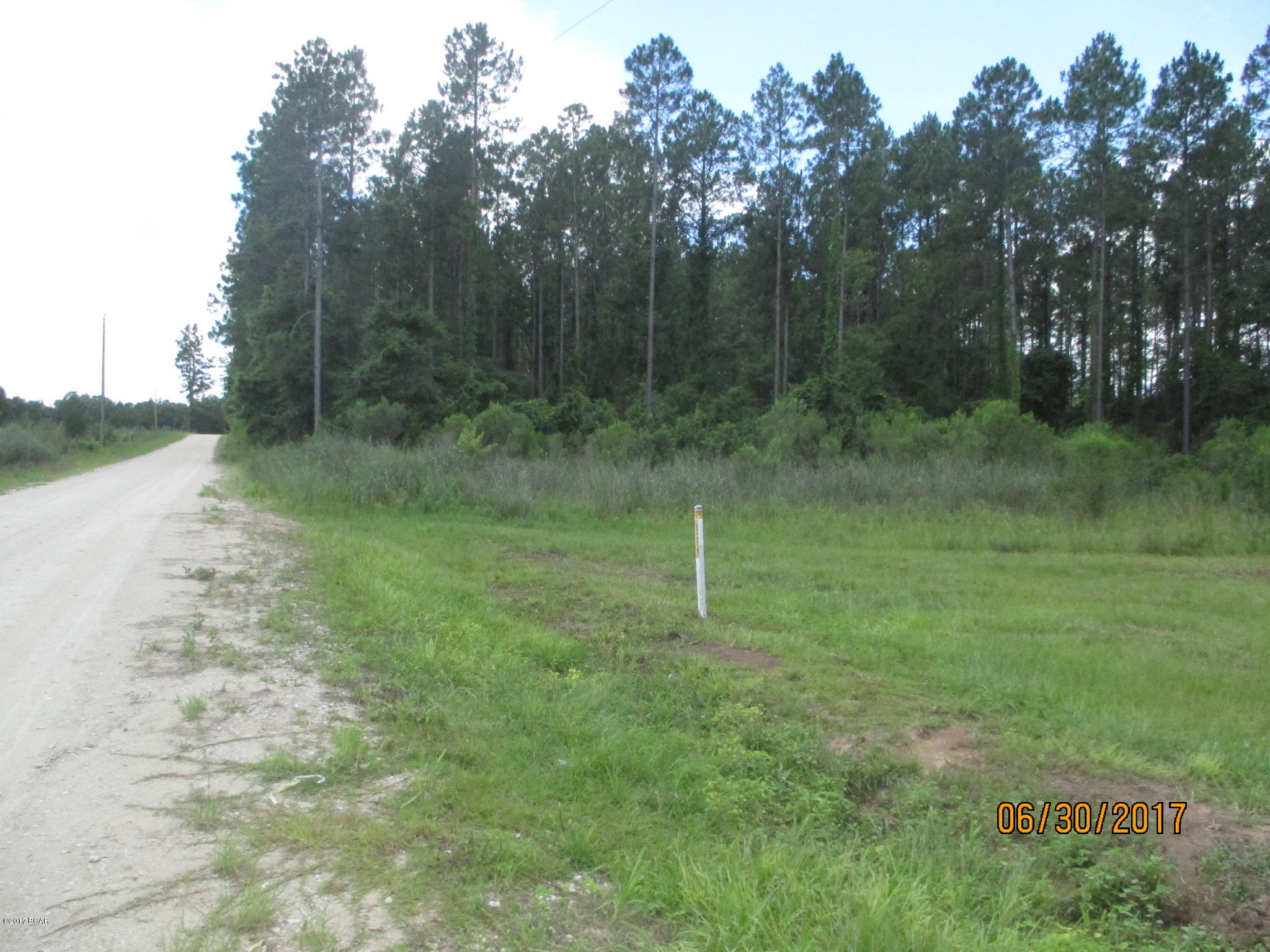 0 Northwest Laramore Road Altha, FL 32421 - Photo 8 of 8 Gallery Image 8