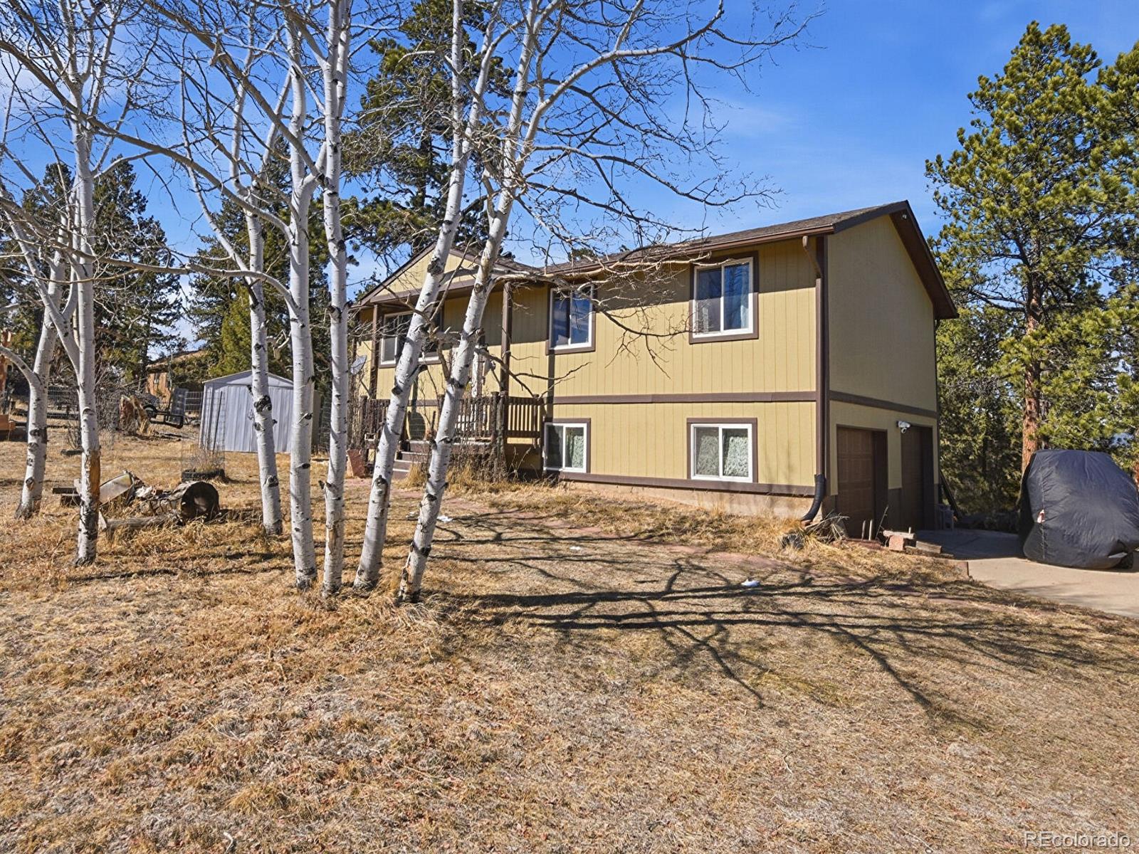 399 Conifer Drive Bailey, CO 80421 - Photo 27 of 42