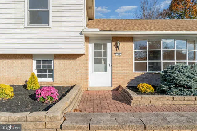 a front view of a house with lots of potted plants