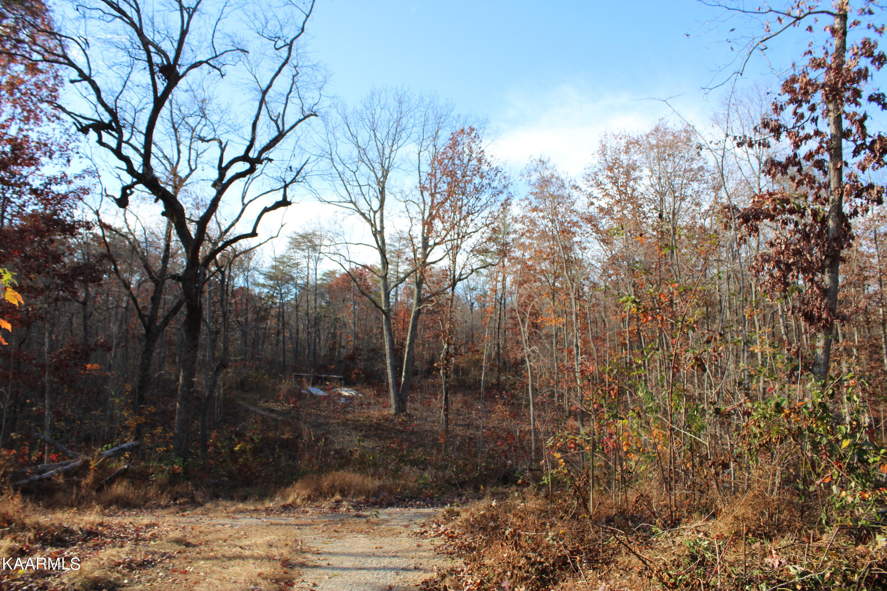 60 Apple Road Crossville, TN 38572 - Photo 4 of 17 IMG_0095