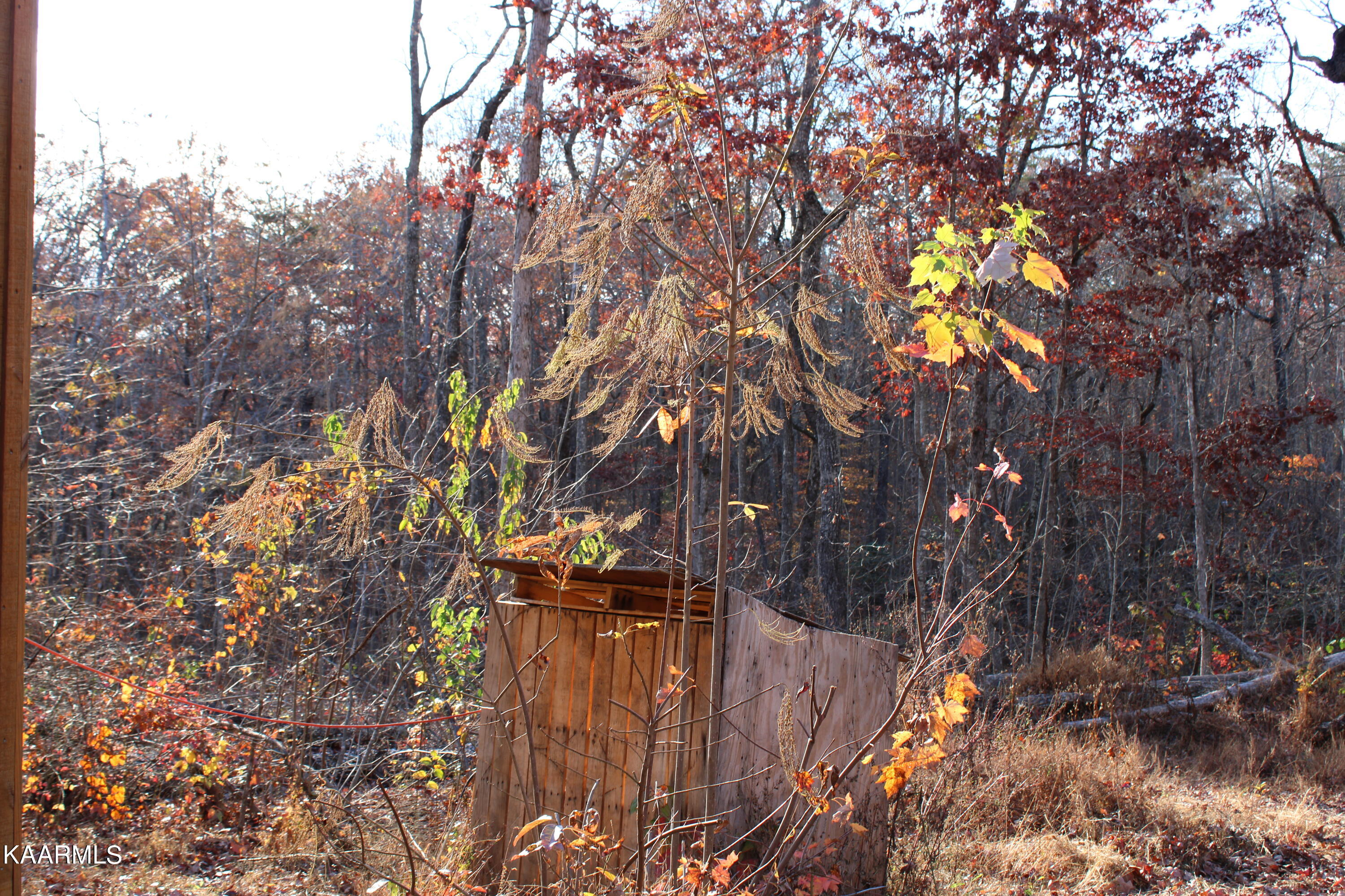 60 Apple Road Crossville, TN 38572 - Photo 5 of 17 IMG_0096
