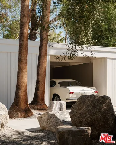 a bedroom with a bed and a large tree