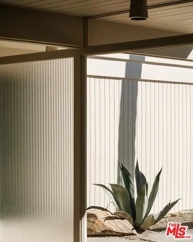 a view of a potted plant on a floor
