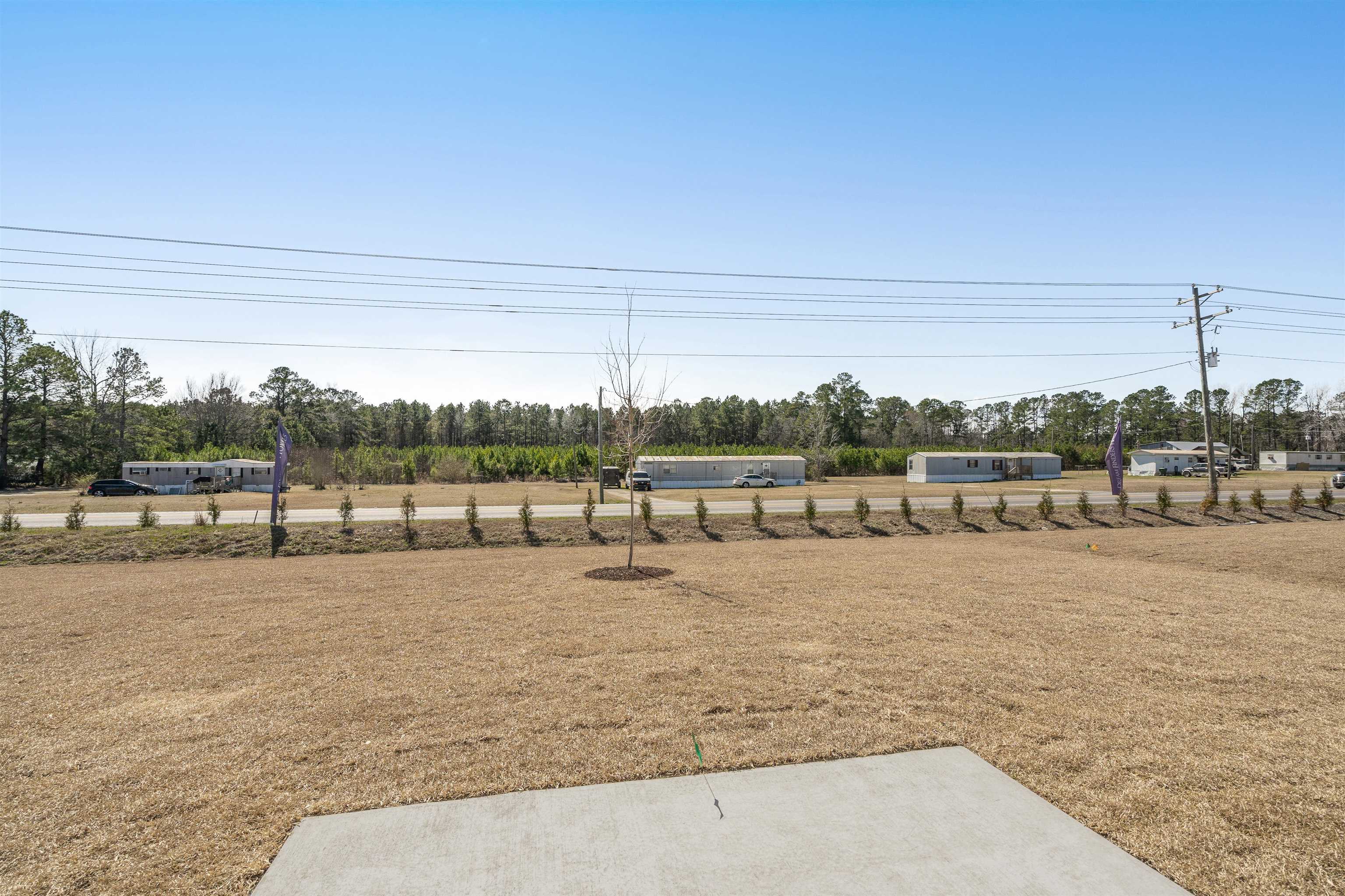 845 Rivas Court Conway, SC 29527 - Photo 39 of 41