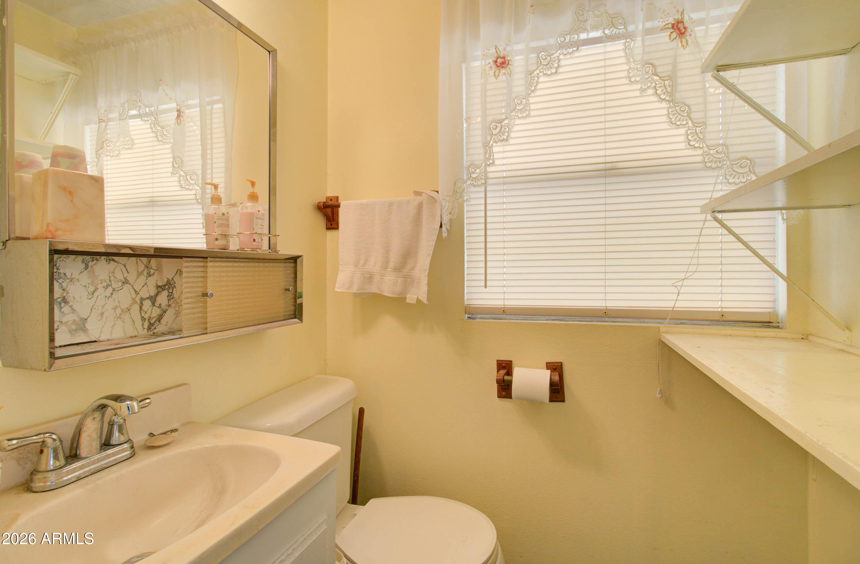 6002 Marion Canyon Street Claypool, AZ 85532 - Photo 42 of 45 a bathroom with a sink and a toilet