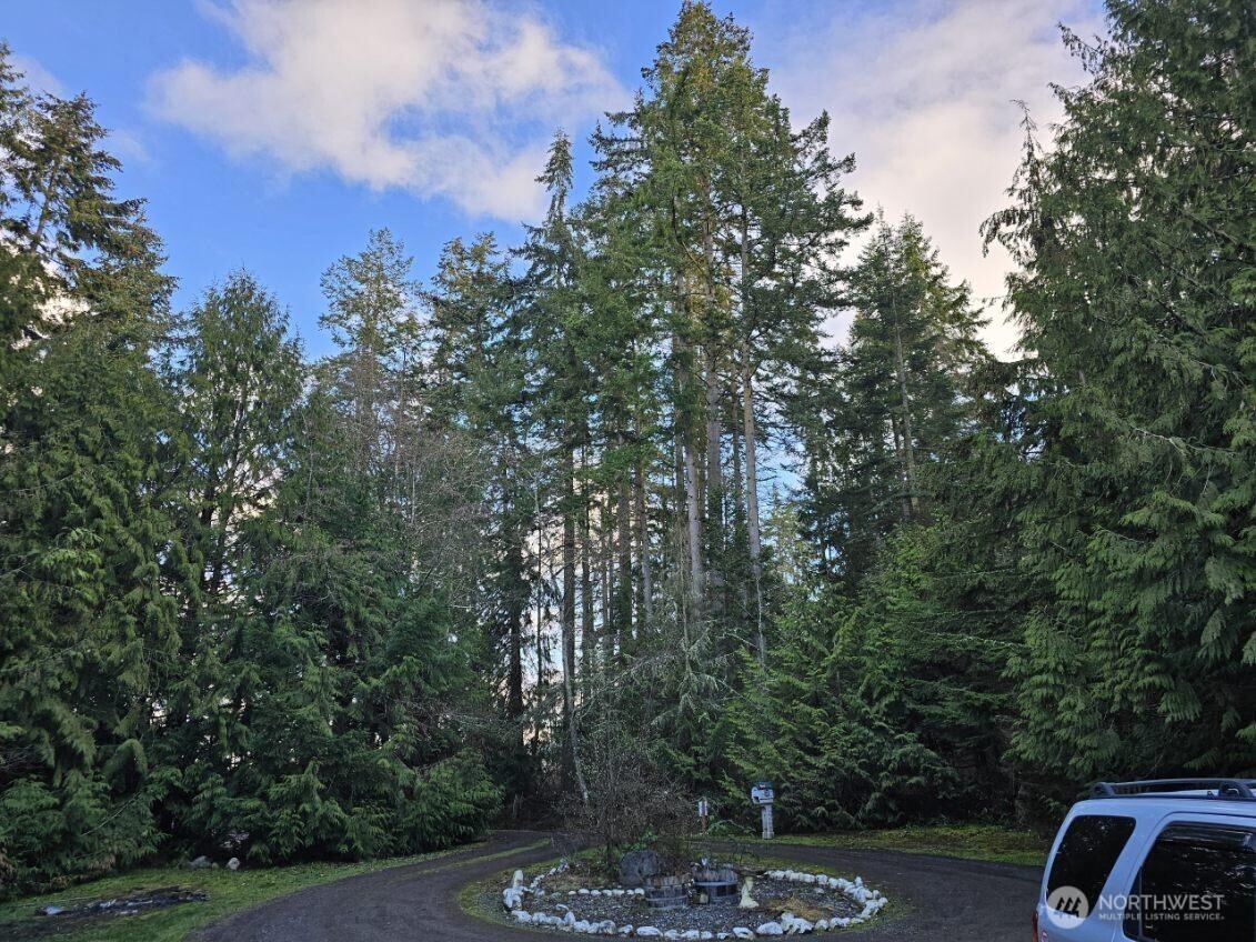 152 Racoon Road Sequim, WA 98382 - Photo 3 of 12