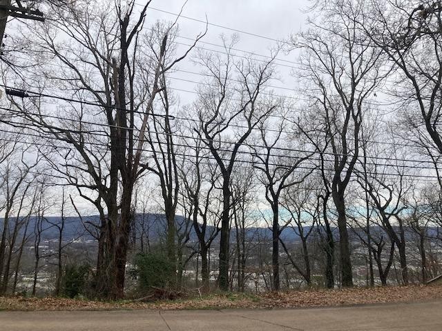 62 Old Ringgold Road Chattanooga, TN 37404 - Photo 1 of 15 Gallery Image 1