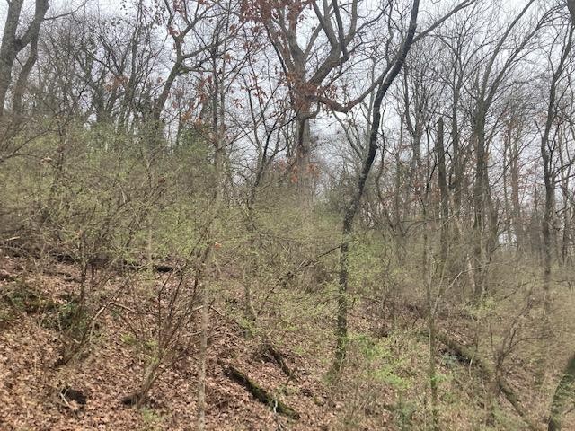 62 Old Ringgold Road Chattanooga, TN 37404 - Photo 13 of 15 Gallery Image 13