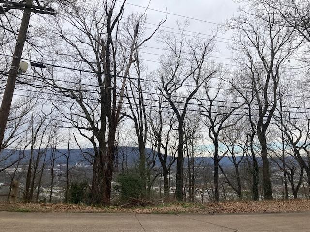 62 Old Ringgold Road Chattanooga, TN 37404 - Photo 2 of 15 Gallery Image 2