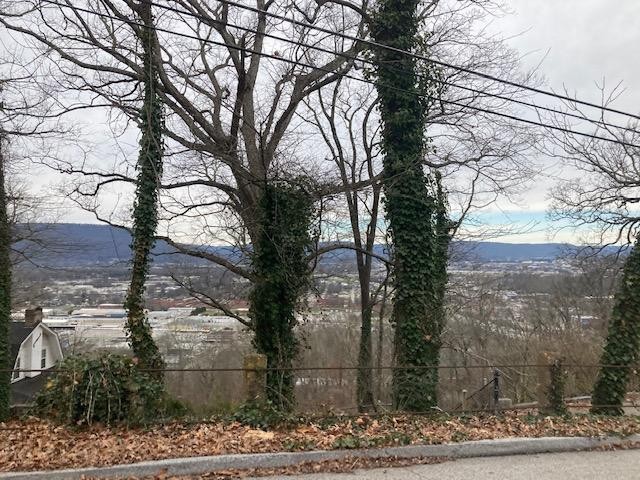 62 Old Ringgold Road Chattanooga, TN 37404 - Photo 4 of 15 Gallery Image 4