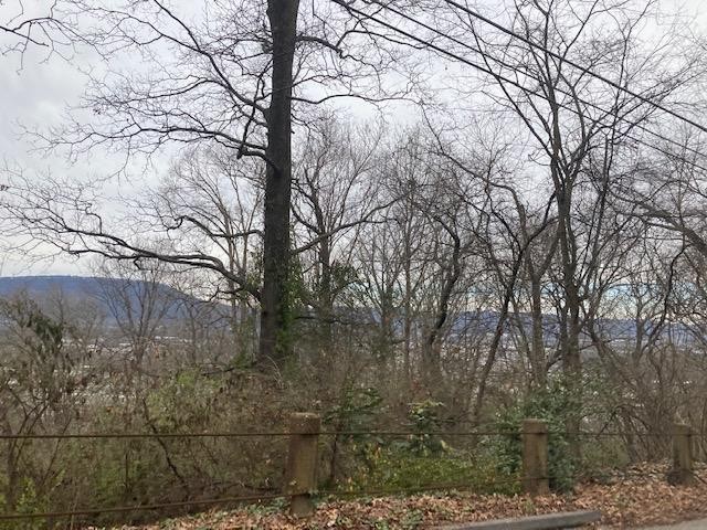 62 Old Ringgold Road Chattanooga, TN 37404 - Photo 7 of 15 Gallery Image 7