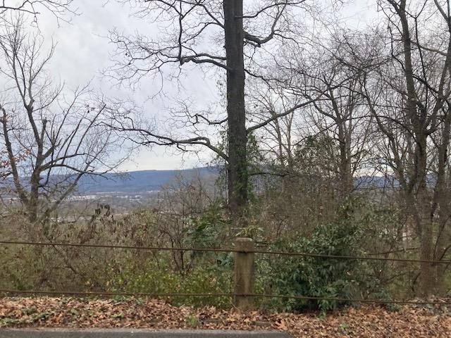 62 Old Ringgold Road Chattanooga, TN 37404 - Photo 9 of 15 Gallery Image 9