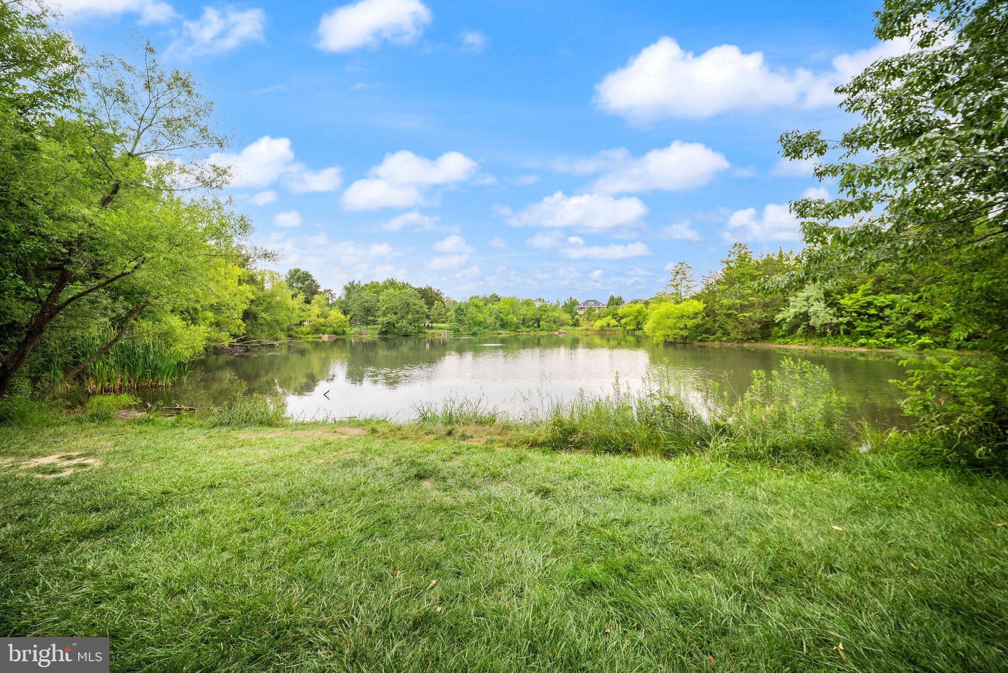 23559 Christina Ridge Square Ashburn, VA 20148 - Photo 57 of 63 Pond at Legacy Park
