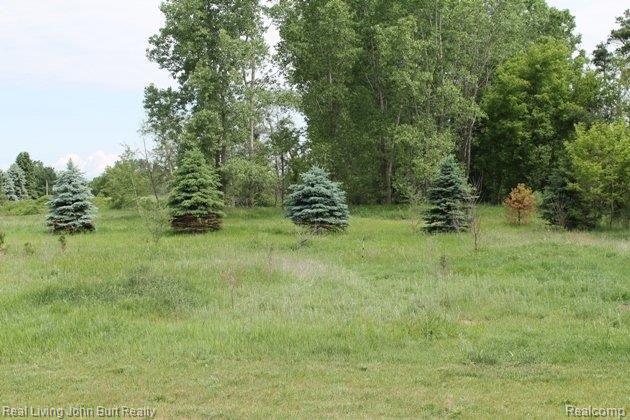 1483 Haines Road Lapeer, MI 48446 - Photo 5 of 23 Back Acreage.jpg