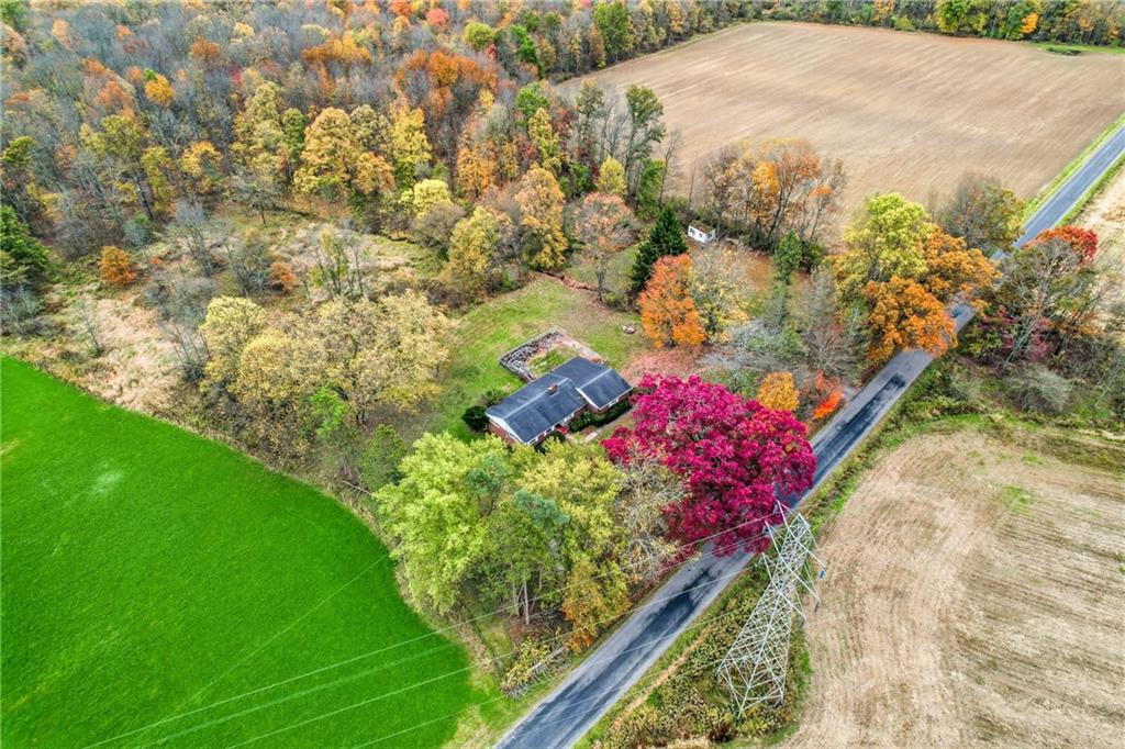 520 South Maysville Road Greenville, PA 16125 - Photo 31 of 33 a view of a garden with plants