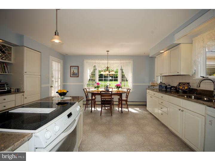 1122 Frog Hollow Road Collegeville, PA 19426 - Photo 10 of 25 Kitchen