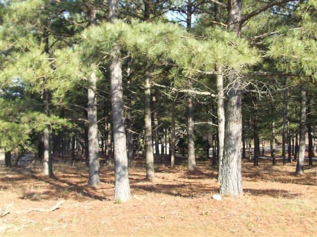 1641 Rays Church Road Bishop, GA 30621 - Photo 1 of 1