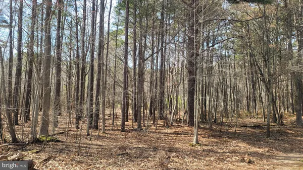 $165,000 | Forest Road, Grasonville, MD 21638