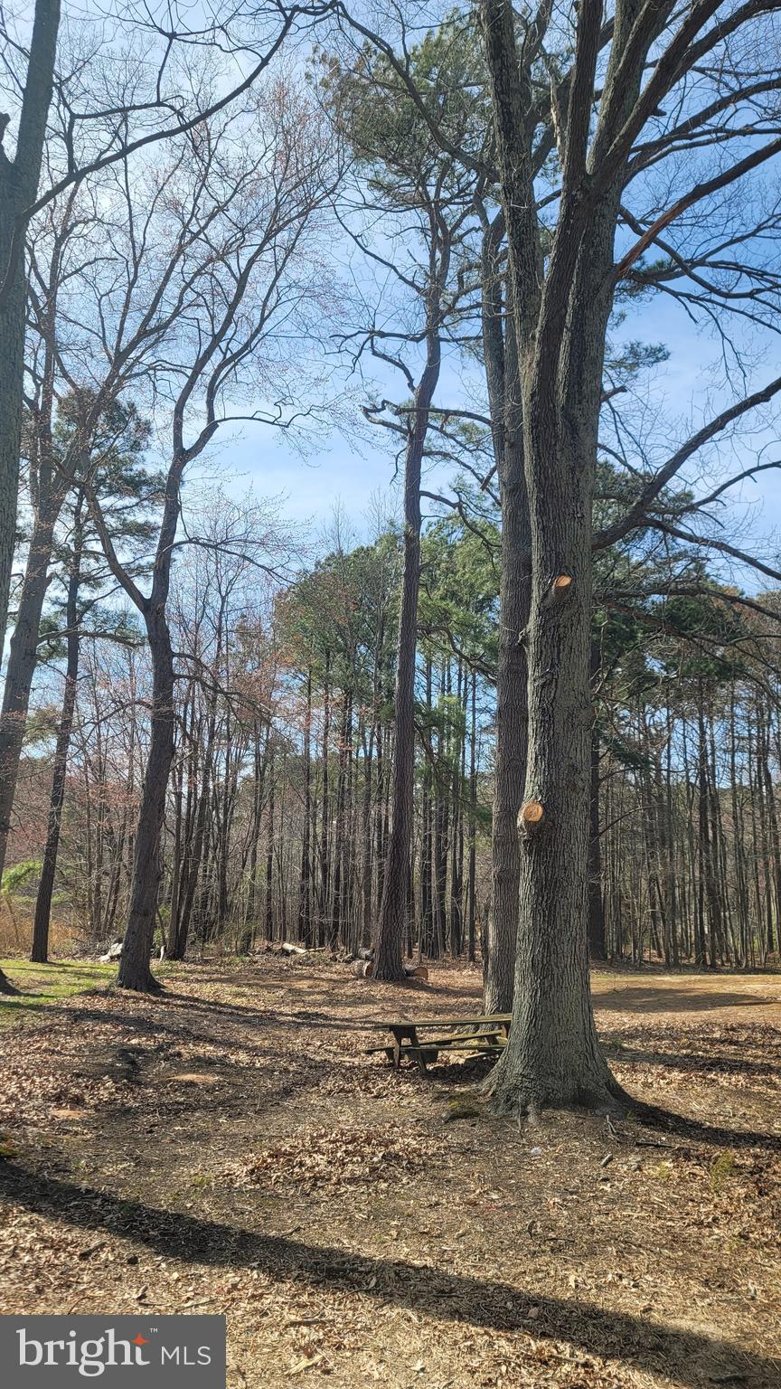 Forest Road Grasonville, MD 21638 - Photo 2 of 3