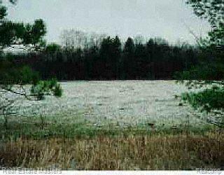 0 Vine Road St. Clair, MI 48079 - Photo 1 of 1 Property Photo