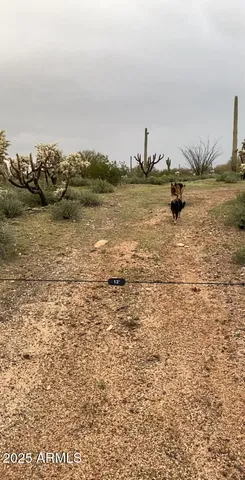 a view of a lake with a beach