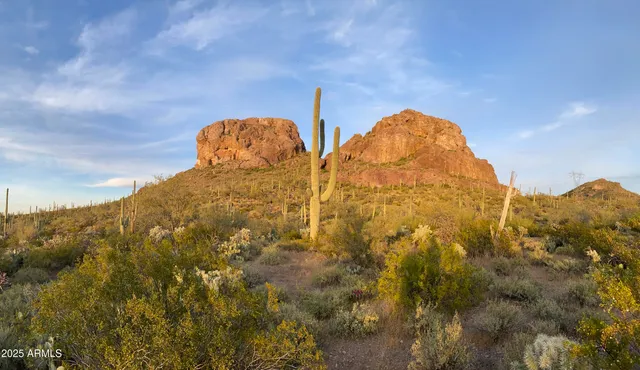 a view of a field with an ocean