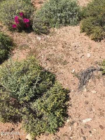 a view of a backyard of a house