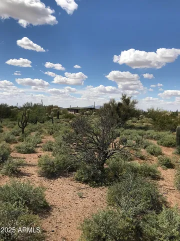 a view of a dry yard with wooden fence