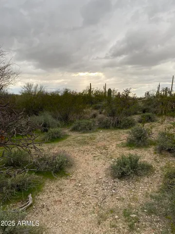 a view of a field with wooden fence