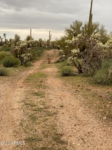 a view of a lake view