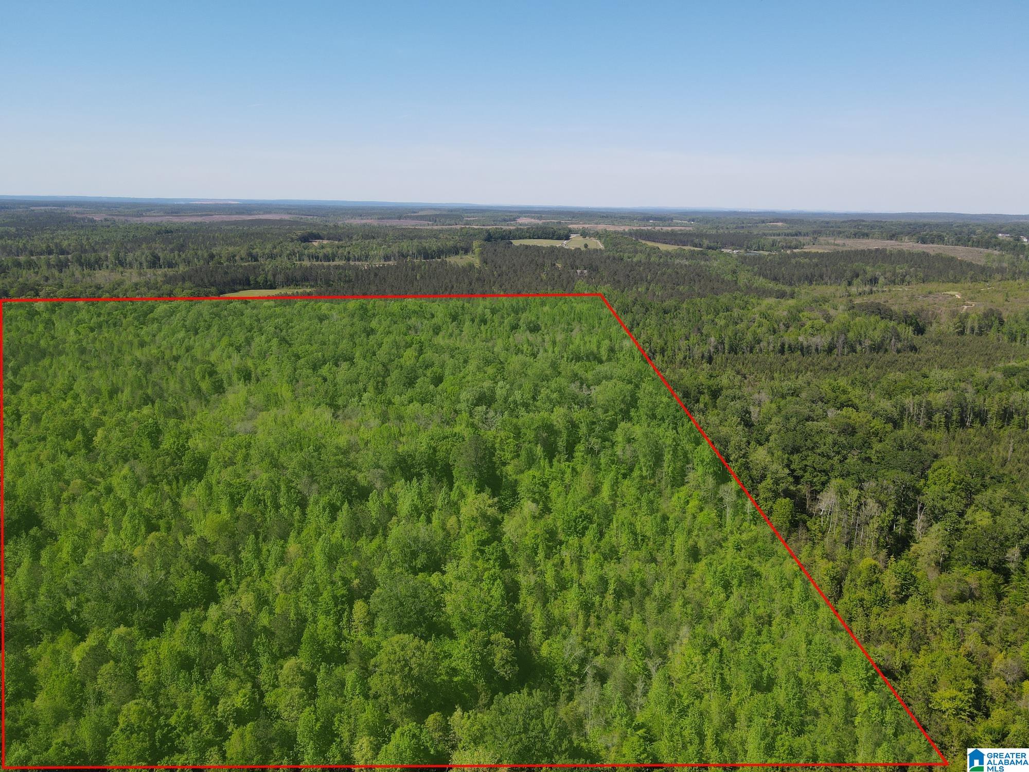 73 County Road 73, Unit 20003000 Randolph, AL 36792 - Photo 2 of 13