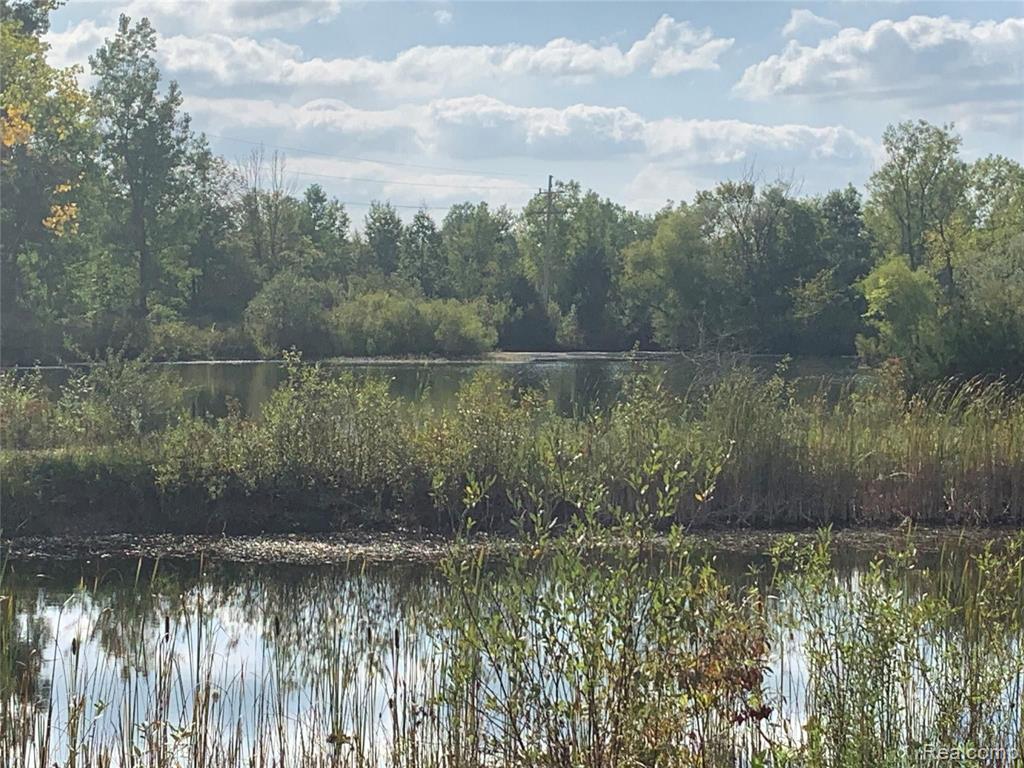 1 West Carpenter Road Flint, MI 48505 - Photo 4 of 9