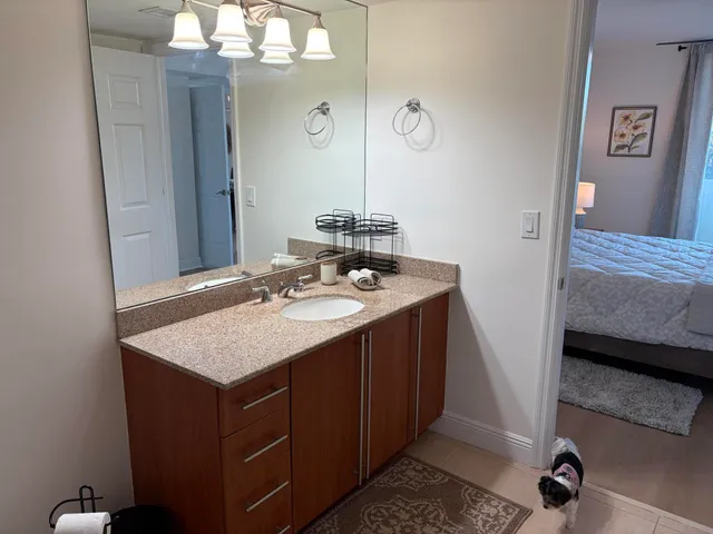 a bathroom with a sink vanity and a mirror