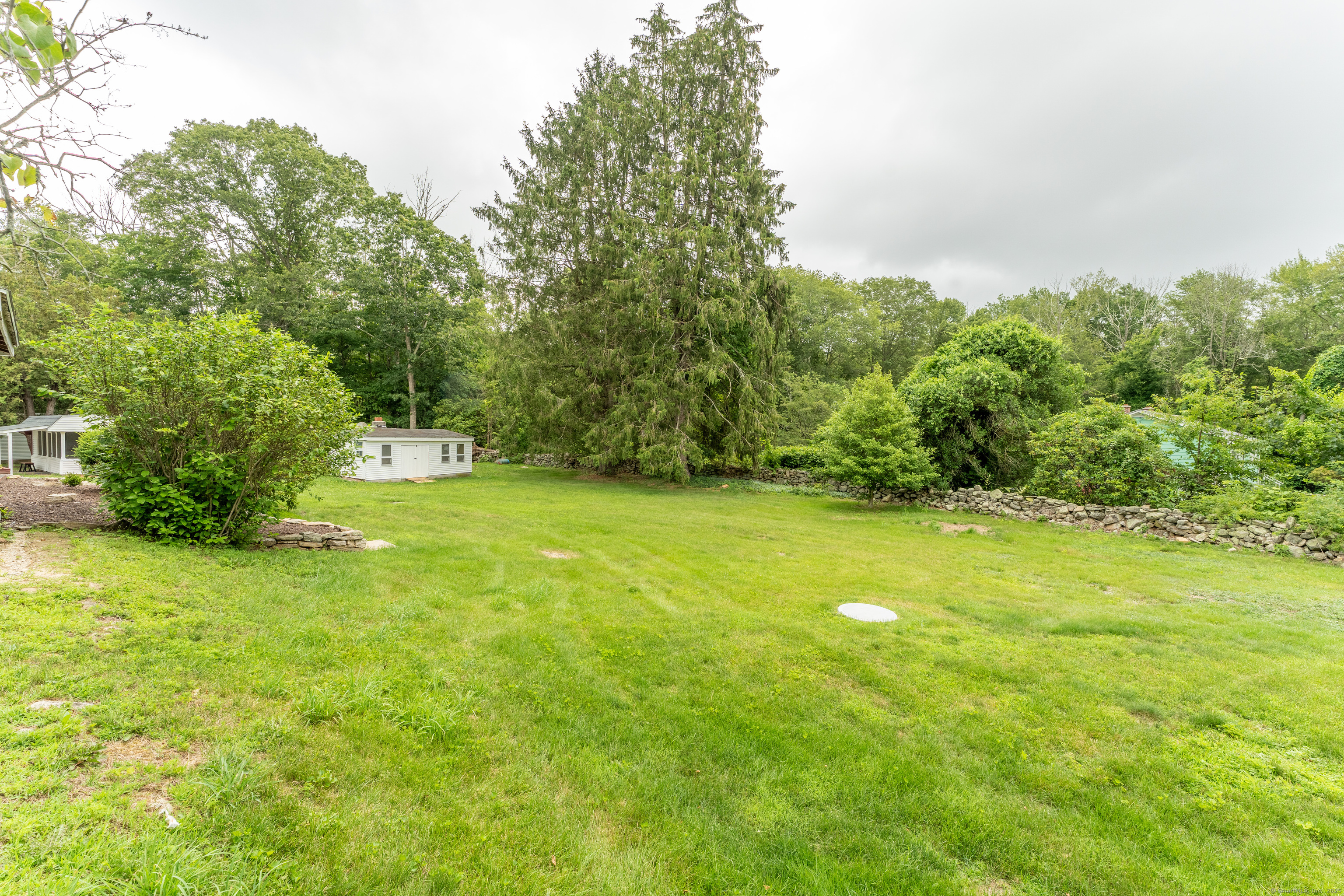 361 Westminster Road Canterbury, CT 06331 - Photo 34 of 38 a view of a big yard with large trees