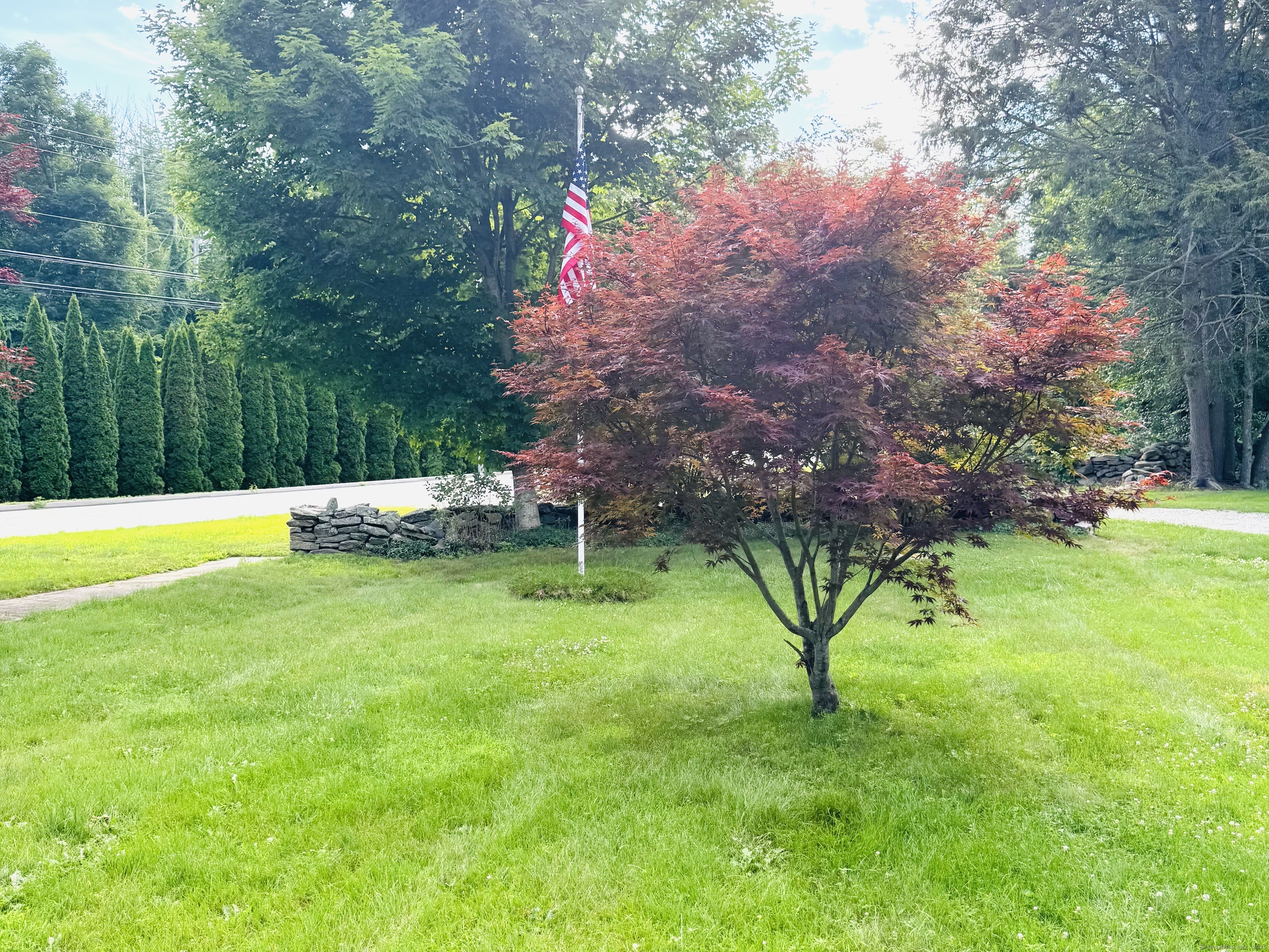 361 Westminster Road Canterbury, CT 06331 - Photo 35 of 38 a view of a backyard with swimming pool