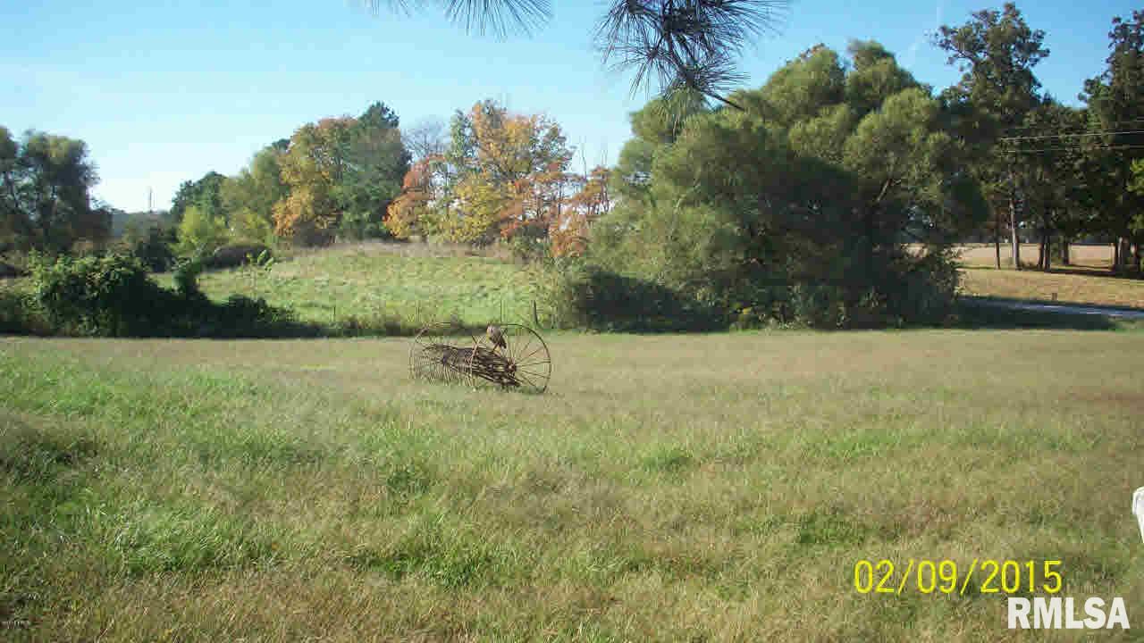 8528 Middle Mulkeytown, IL 62865 - Photo 9 of 23