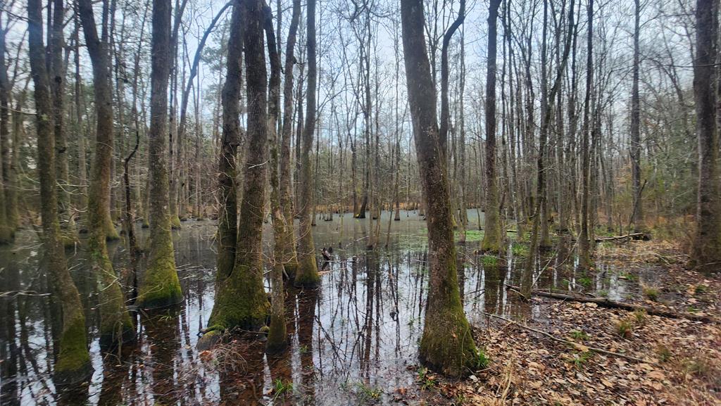 15.05 Pera Road Samson, AL 36477 - Photo 27 of 29
