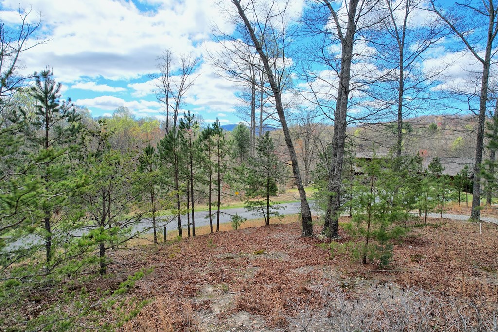 30 Sharp Top Settlement Blairsville, GA 30512 - Photo 13 of 24